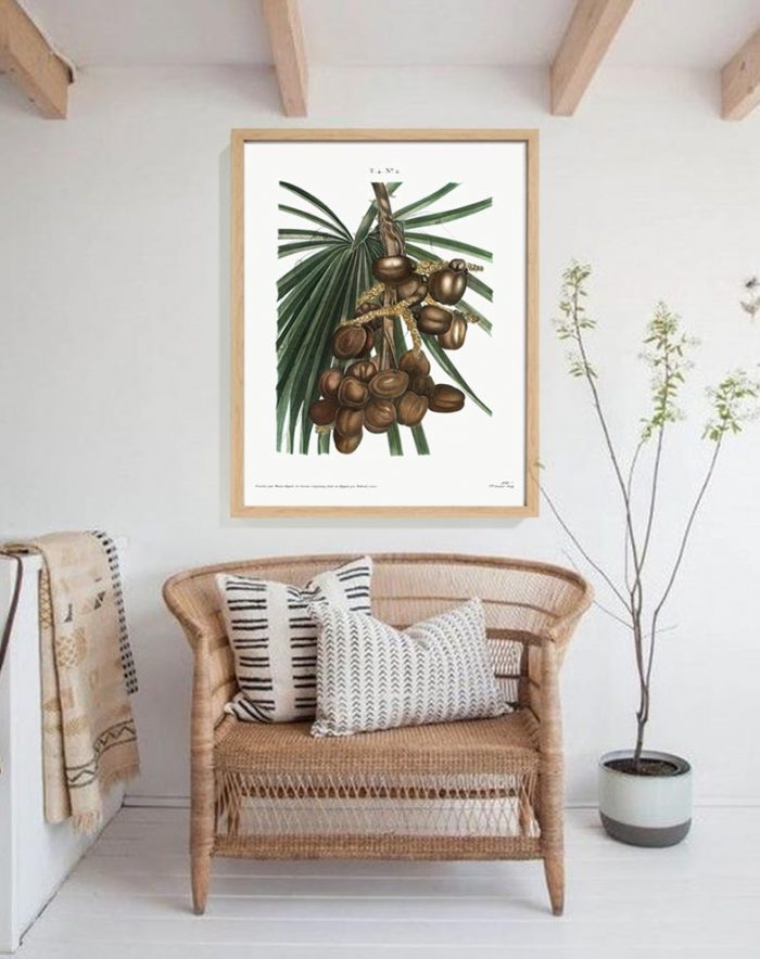 date palm