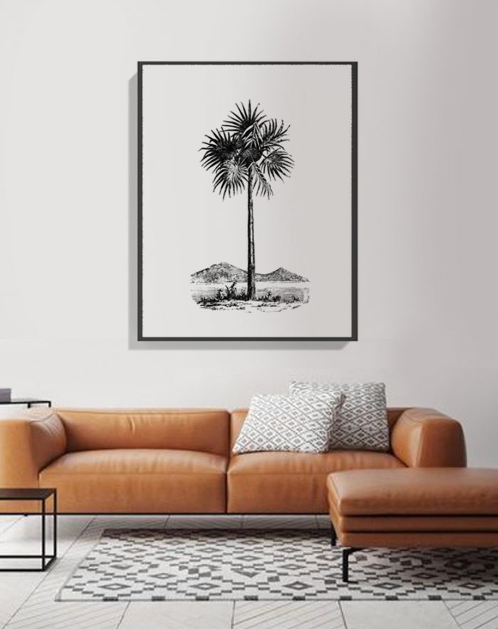 Palm tree sketch