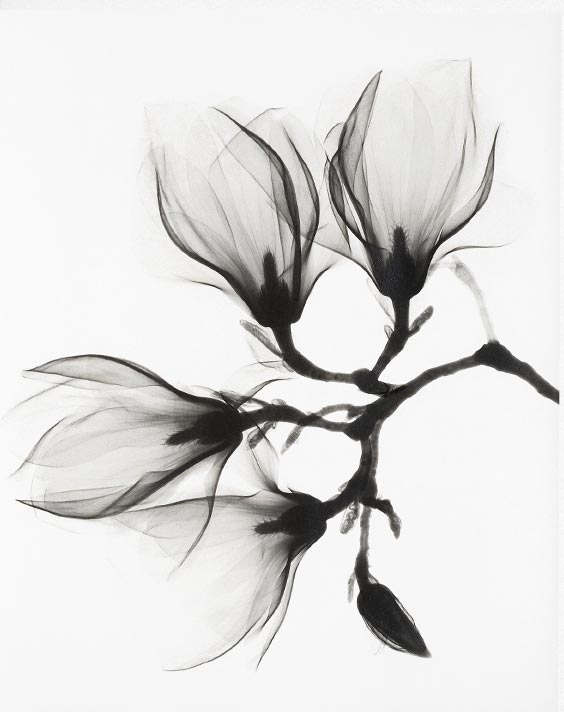 printable black and white art
