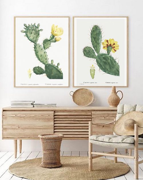 cactus art prints