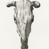 cow skull print