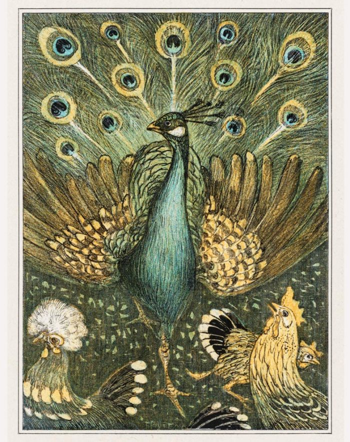 peacock art print