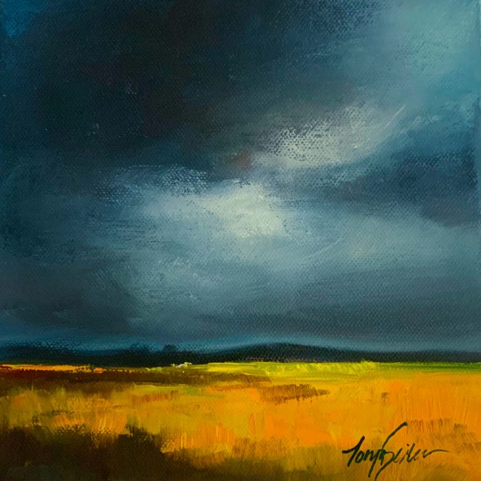 stormy field