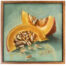 still life pumpkins