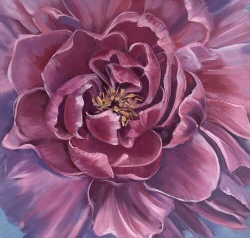 dark pink peony