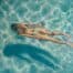 swimmer in aqua water